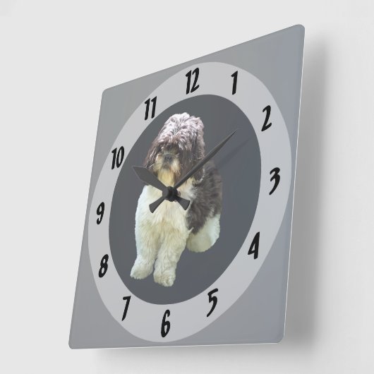 Adorable Shih Tzu Puppy スクエア壁時計 (傾斜)