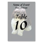 Adorable Shih Tzu Puppy テーブルナンバー (裏面)