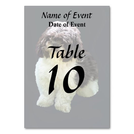 Adorable Shih Tzu Puppy テーブルナンバー (正面)