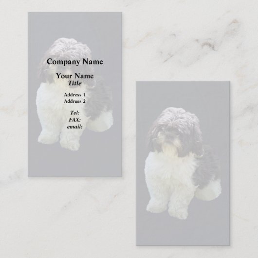 Adorable Shih Tzu Puppy 名刺 (正面/裏面)
