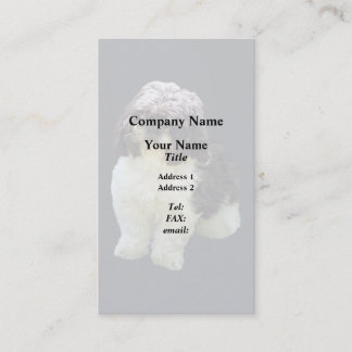 Adorable Shih Tzu Puppy 名刺