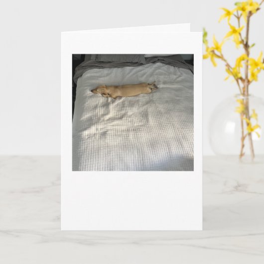 Adorable Since You've Been Gone Dachshund カード (黄色い花)