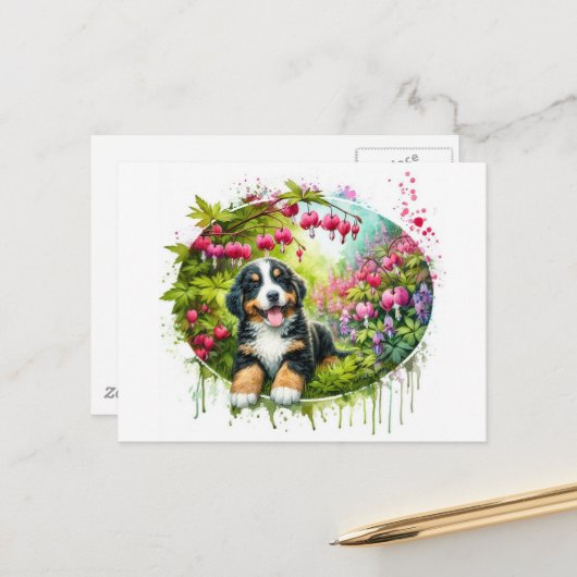 Adorable Spring Bernese Mountain Dog ポストカード (正面/裏面インサイチュ)