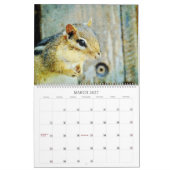 Adorable Striped Chipmunks Wildlife Watercolor Art カレンダー (3月 2027)