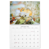 Adorable Striped Chipmunks Wildlife Watercolor Art カレンダー (1月 2027)