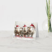 Adorable Three Rhinos シーズンカード (正面)