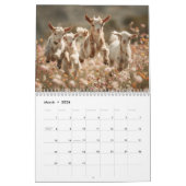 Adorable Wildlife Photography | Baby Animals Wall カレンダー (3月 2026)