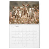 Adorable Wildlife Photography | Baby Animals Wall カレンダー (3月 2027)