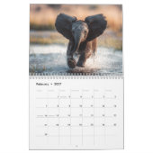 Adorable Wildlife Photography | Baby Animals Wall カレンダー (2月 2027)