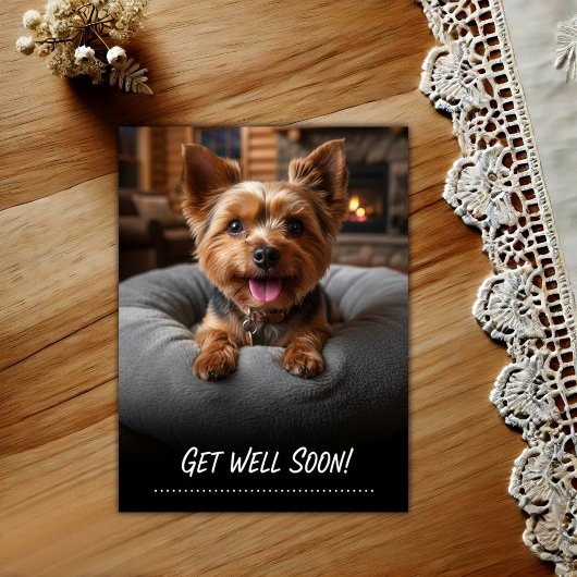 Adorable Yorkshire Terrier Get Well Postcard ポストカード