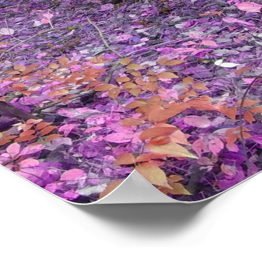 Adornment ポスター (角)