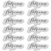 Adrienne — Cursive Script Name Label Stickers シール (正面)