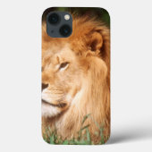 Adult male Lion Case-Mate iPhoneケース (裏面)