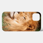 Adult male Lion Case-Mate iPhoneケース (裏面 (横))
