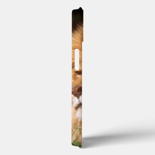 Adult male Lion Case-Mate iPhoneケース (裏面 / 右)