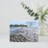 Adventures for Anyone Silver Sands, SPポストカード ポストカード (スタンド正面)