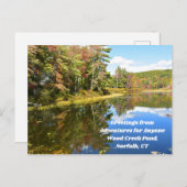 Adventures for Anyone Wood Creek Pondはがき ポストカード (正面/裏面)