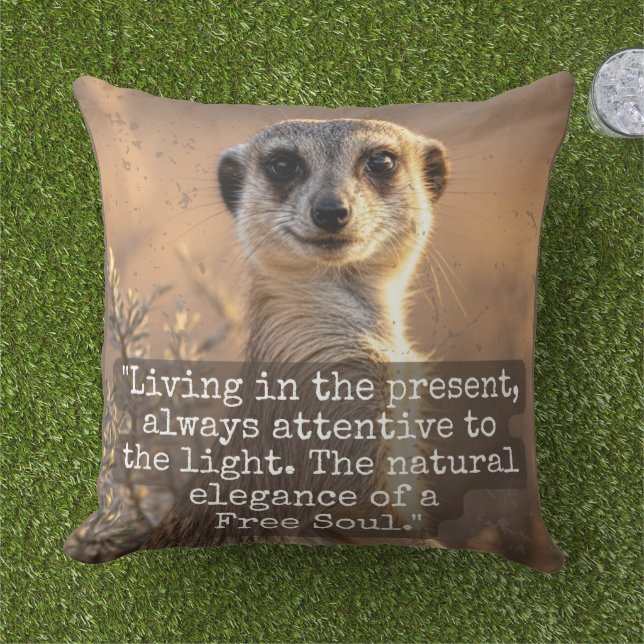 Adventurous Meerkat Living アウトドアクッション (芝生)