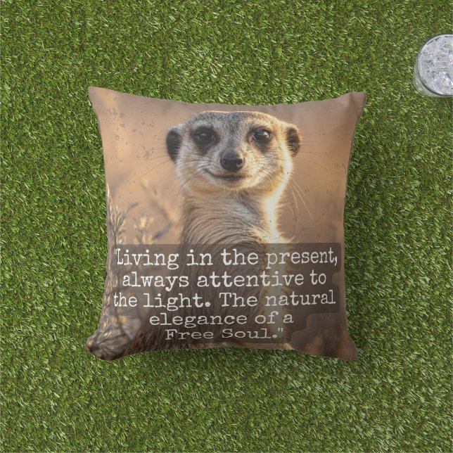 Adventurous Meerkat Living アウトドアクッション (芝生)