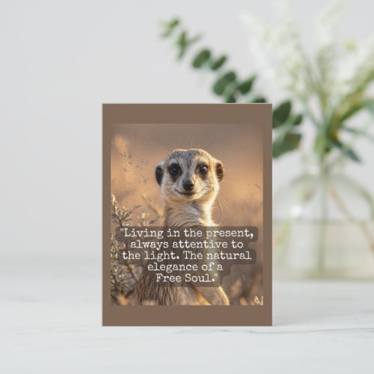 Adventurous Meerkat Living ポストカード (スタンド正面)