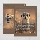 Adventurous Meerkat Living ポストカード (正面/裏面)