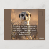 Adventurous Meerkat Living ポストカード (裏面)