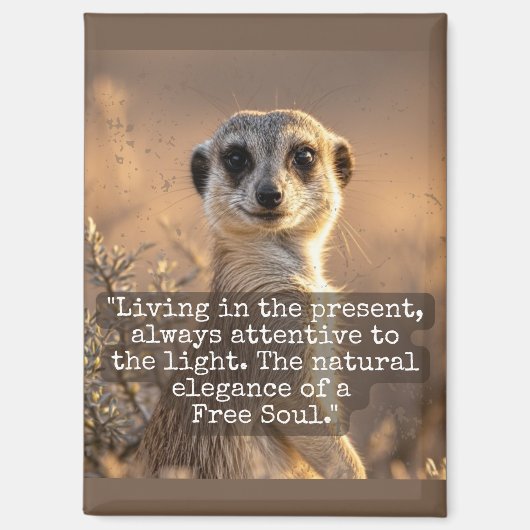 Adventurous Meerkat Living マグネット (正面)
