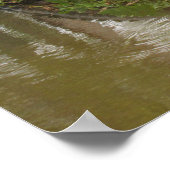 Advice From An Alligator Poster ポスター (角)