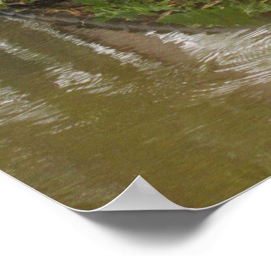 Advice From An Alligator Poster ポスター (角)