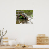 Advice From An Alligator Poster ポスター (キッチン)