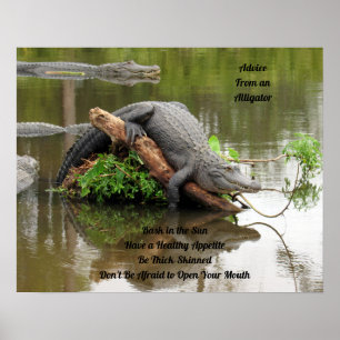 Advice From An Alligator Poster ポスター