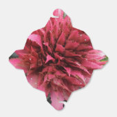 Aecmeaフラワーテイクアウト特典ボックス フェイバーボックス (折り畳みなし)