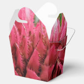 Aecmeaフラワーテイクアウト特典ボックス フェイバーボックス (オープン)