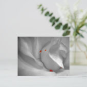 Aeolian Water Colorはがき ポストカード (スタンド正面)