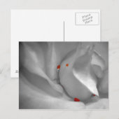 Aeolian Water Colorはがき ポストカード (正面/裏面)