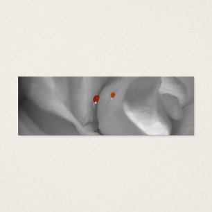 Aeolian Water Colorブックマーク