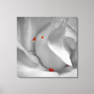 Aeolian Water Color Canvas Print キャンバスプリント