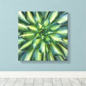 Aeonium 'スターバスト'キャンバス印刷 キャンバスプリント (インサイチュ (ウッドフロア))