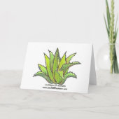 aeonium greeting card カード (裏面)