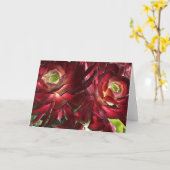 aeonium greeting card カード (黄色い花)