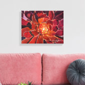 Aeonium 'Zwartkop'水彩 キャンバスプリント (インサイチュ (リビング))