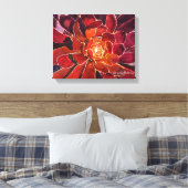 Aeonium 'Zwartkop'水彩 キャンバスプリント (インサイチュ (寝室))