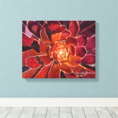 Aeonium 'Zwartkop'水彩 キャンバスプリント (インサイチュ (ウッドフロア))