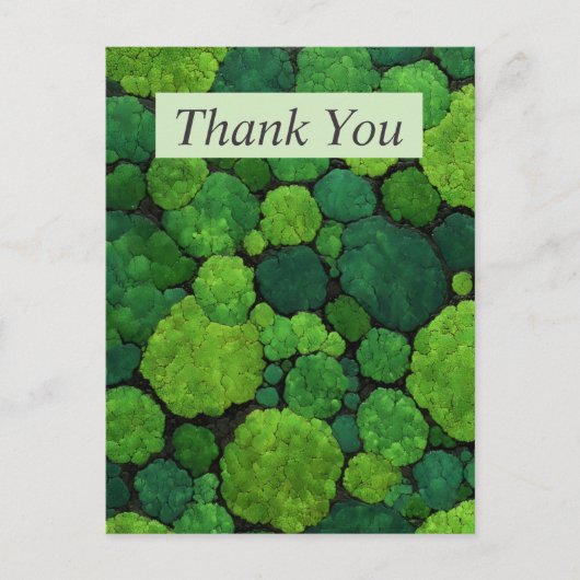 Aerial Green Tree Tops Thank You Card ポストカード (正面)