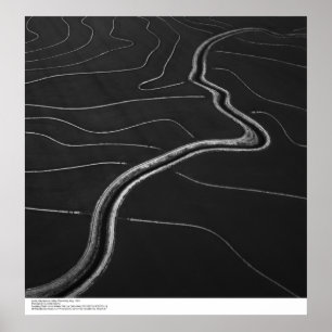 Aerial, Sacramento Valley, Rice fields May, 1966 ポスター