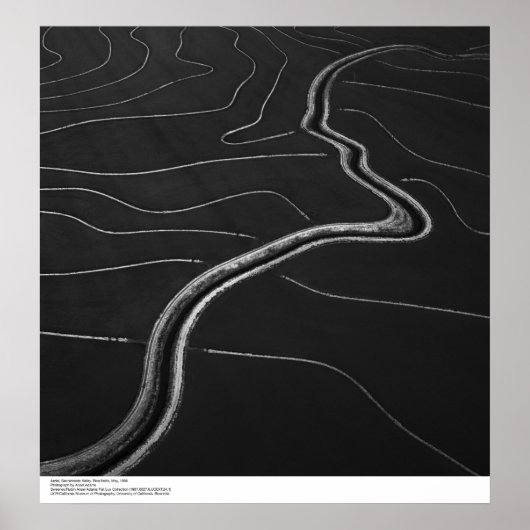 Aerial, Sacramento Valley, Rice fields May, 1966 ポスター (正面)