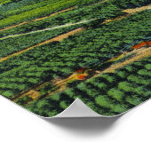 Aerial View of Hood River Valley and Mountain ポスター (角)