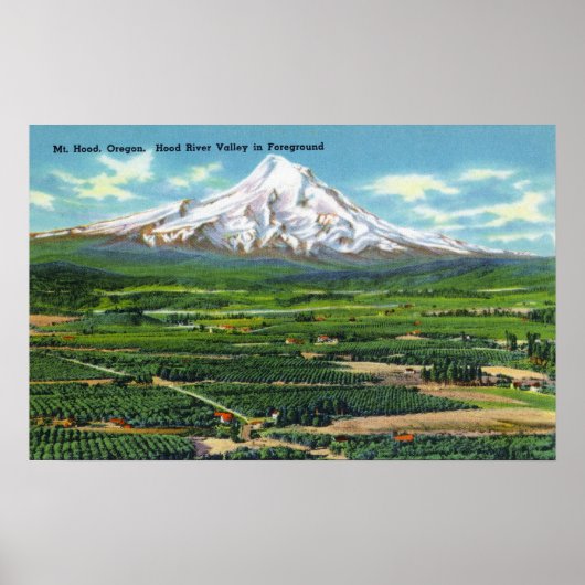 Aerial View of Hood River Valley and Mountain ポスター (正面)