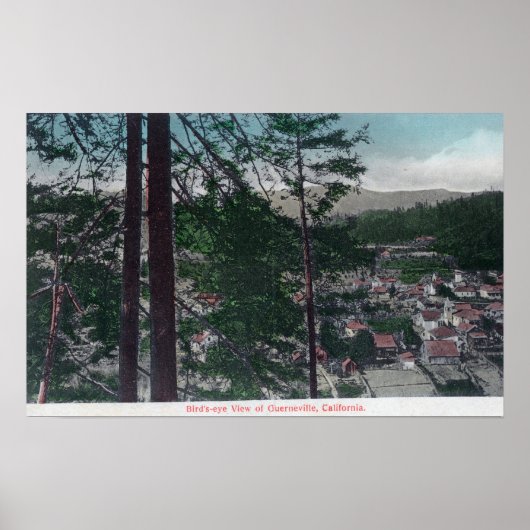 Aerial View of the TownGuerneville, CA ポスター (正面)