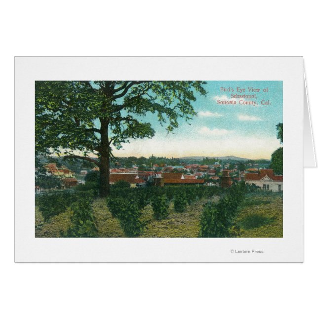 Aerial View of the TownSebastopol, CA (正面横)